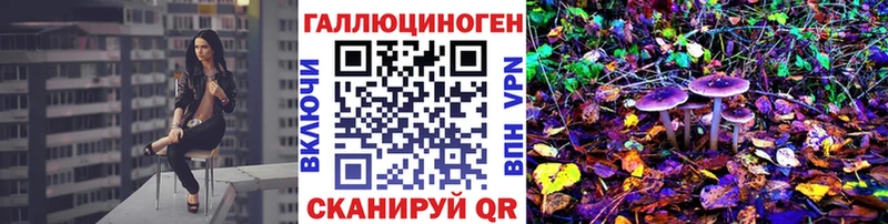 Купить где  Горбатов  Псилоцибиновые грибы мицелий 